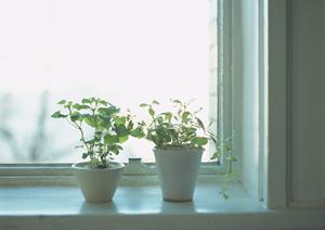 床下のカビを取り除くおすすめの方法