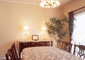 建築物のカビについて考えてみた事ありますか