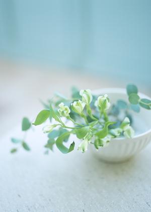 大津市にある注文住宅の会社について